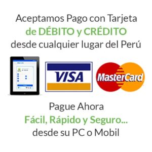 Base para helados Gloria